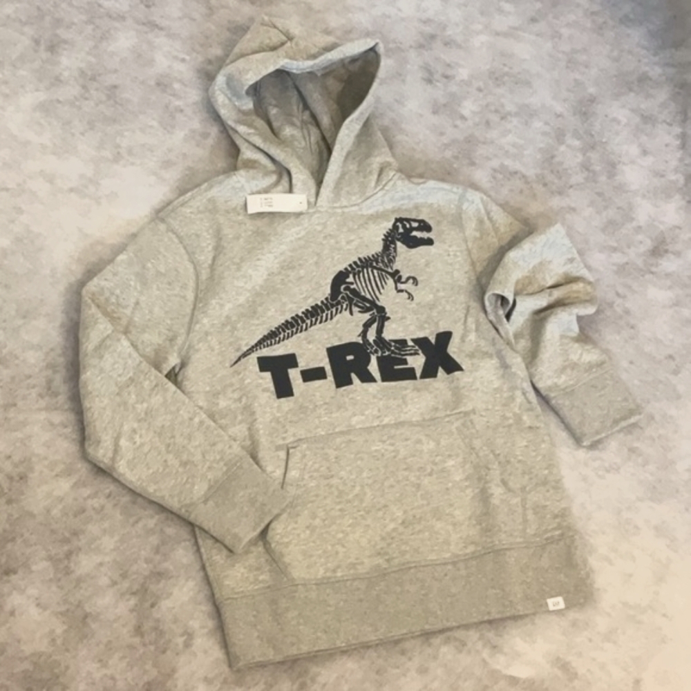 GAP T-Rex Graphic Hoodie
